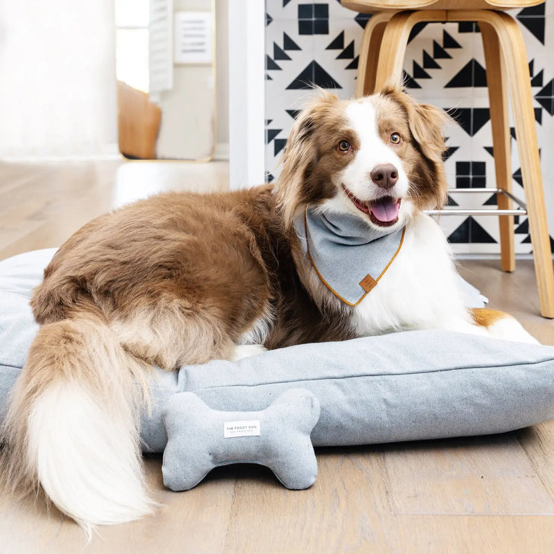 Denim Dog Bone Squeaky Toy